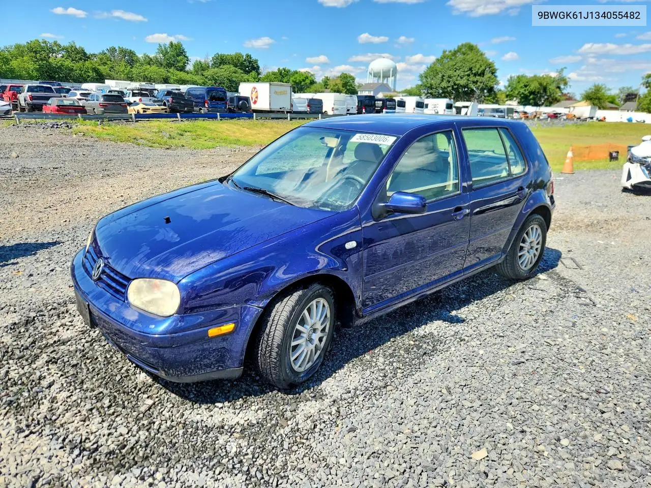 2003 Volkswagen Golf Gls VIN: 9BWGK61J134055482 Lot: 58503006