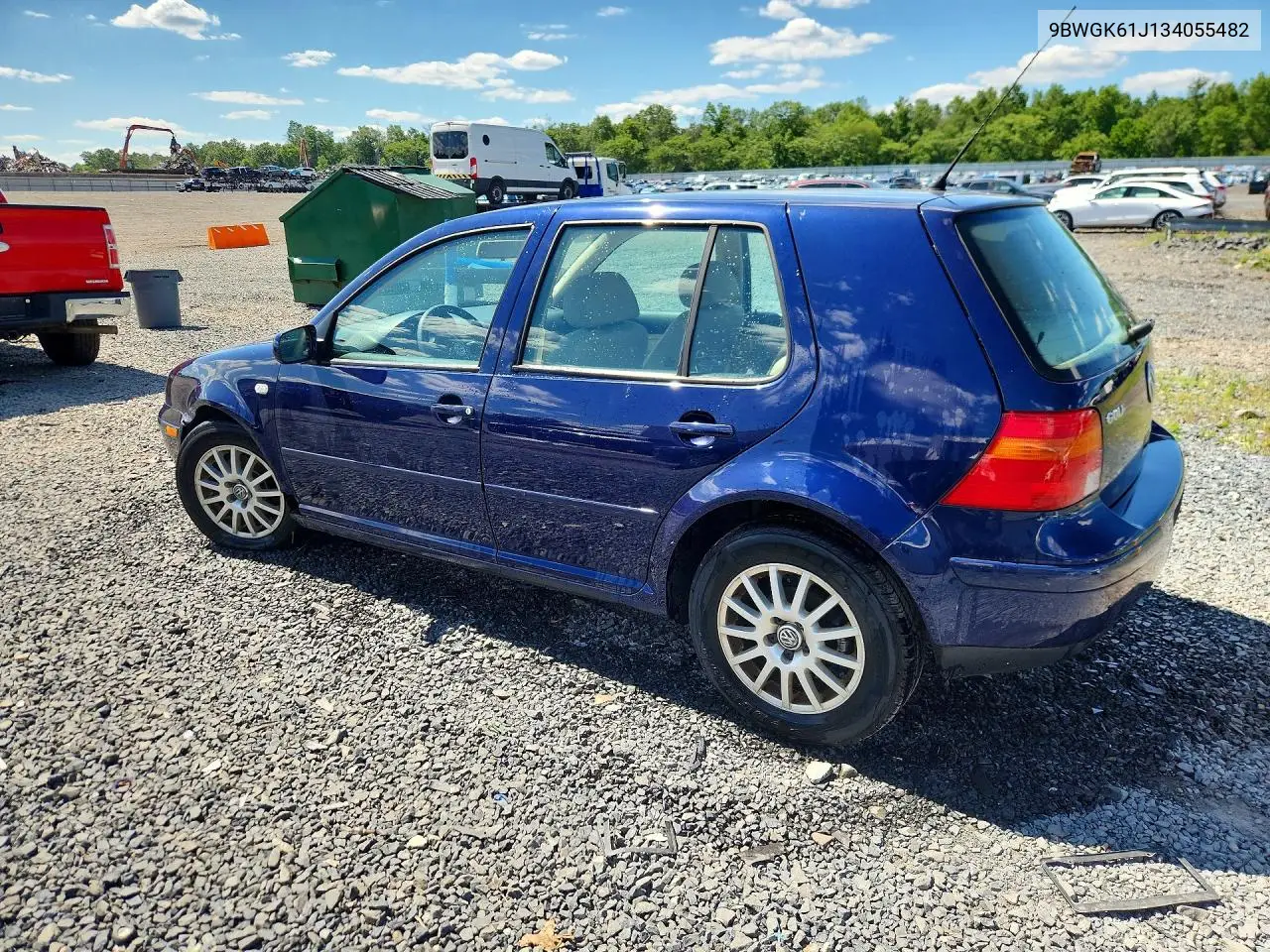 2003 Volkswagen Golf Gls VIN: 9BWGK61J134055482 Lot: 58503006