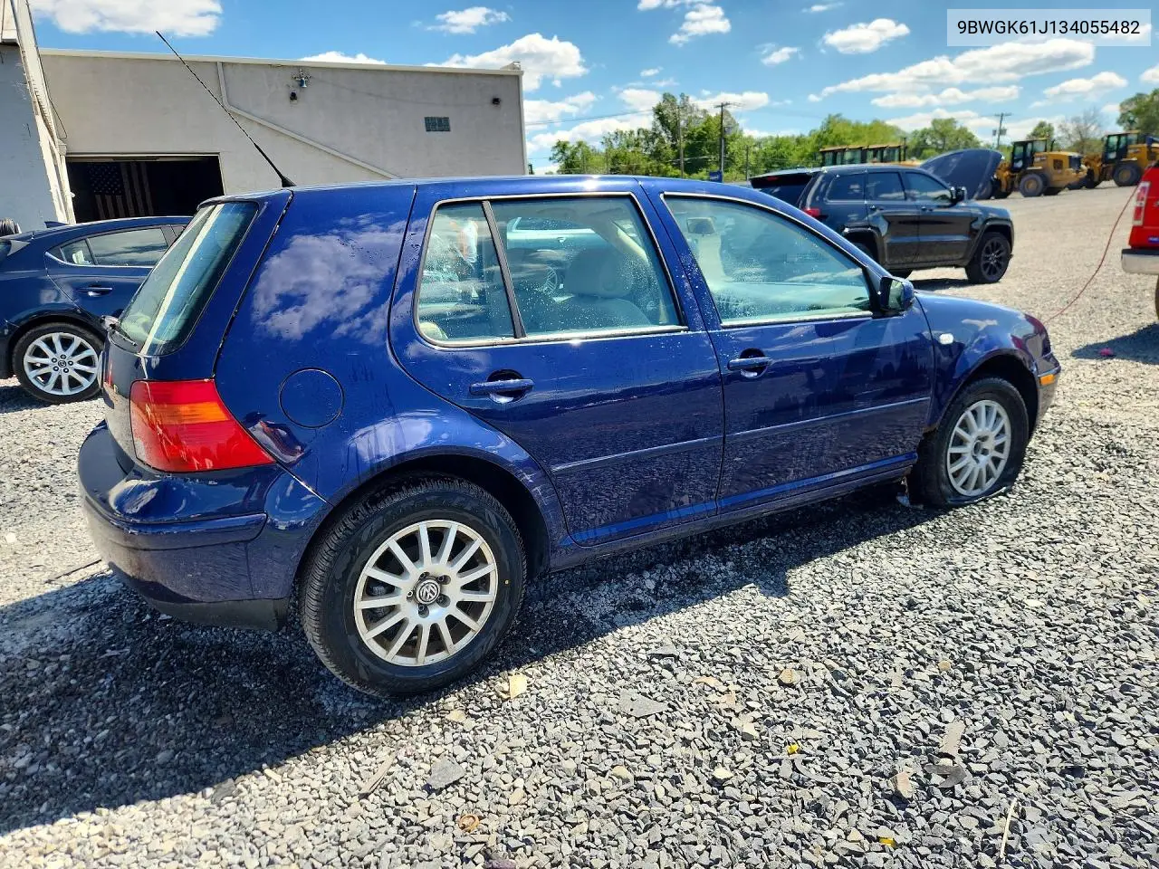 2003 Volkswagen Golf Gls VIN: 9BWGK61J134055482 Lot: 58503006