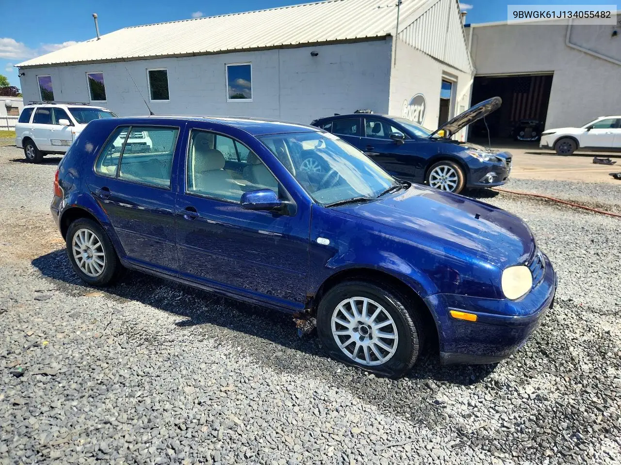 2003 Volkswagen Golf Gls VIN: 9BWGK61J134055482 Lot: 58503006