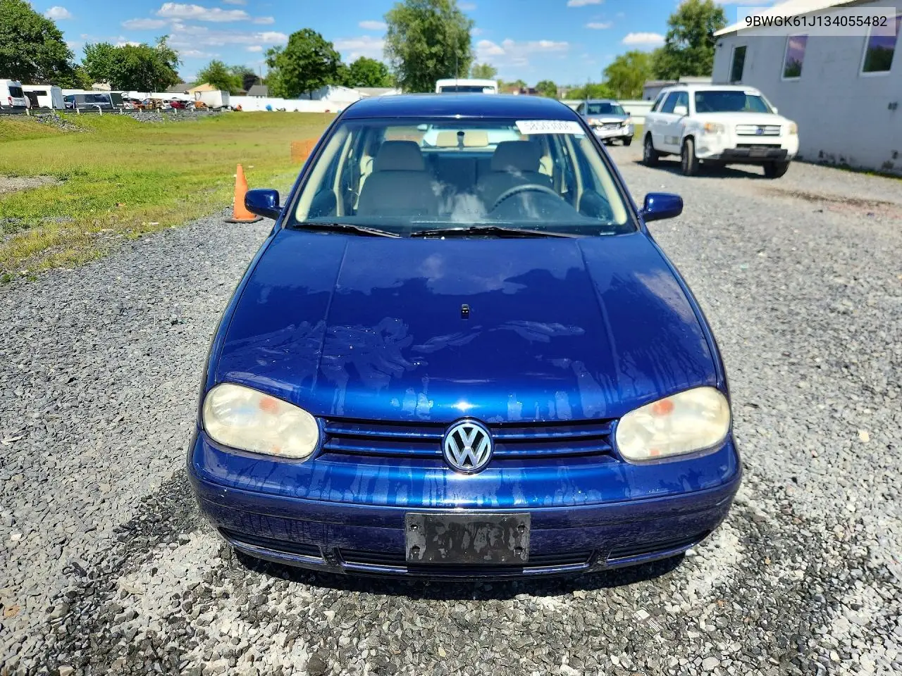 2003 Volkswagen Golf Gls VIN: 9BWGK61J134055482 Lot: 58503006