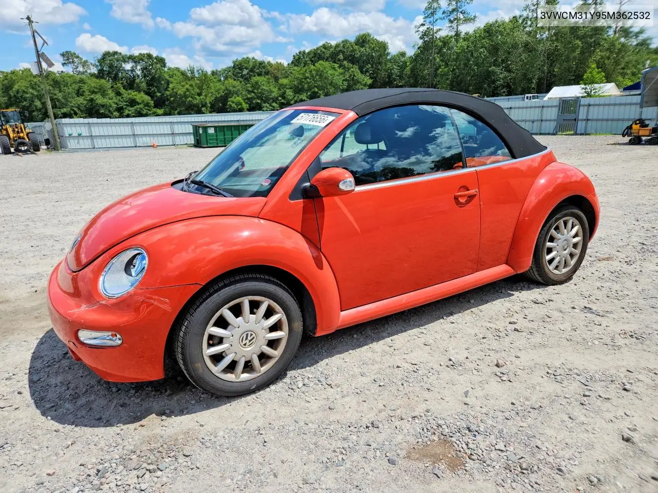 2005 Volkswagen New Beetle Gls VIN: 3VWCM31Y95M362532 Lot: 57176656