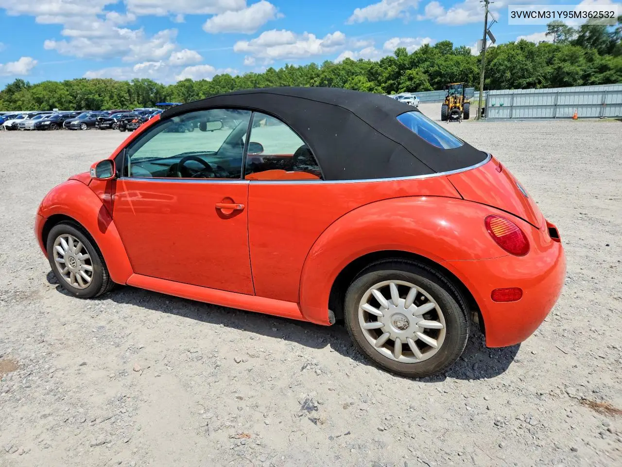 2005 Volkswagen New Beetle Gls VIN: 3VWCM31Y95M362532 Lot: 57176656
