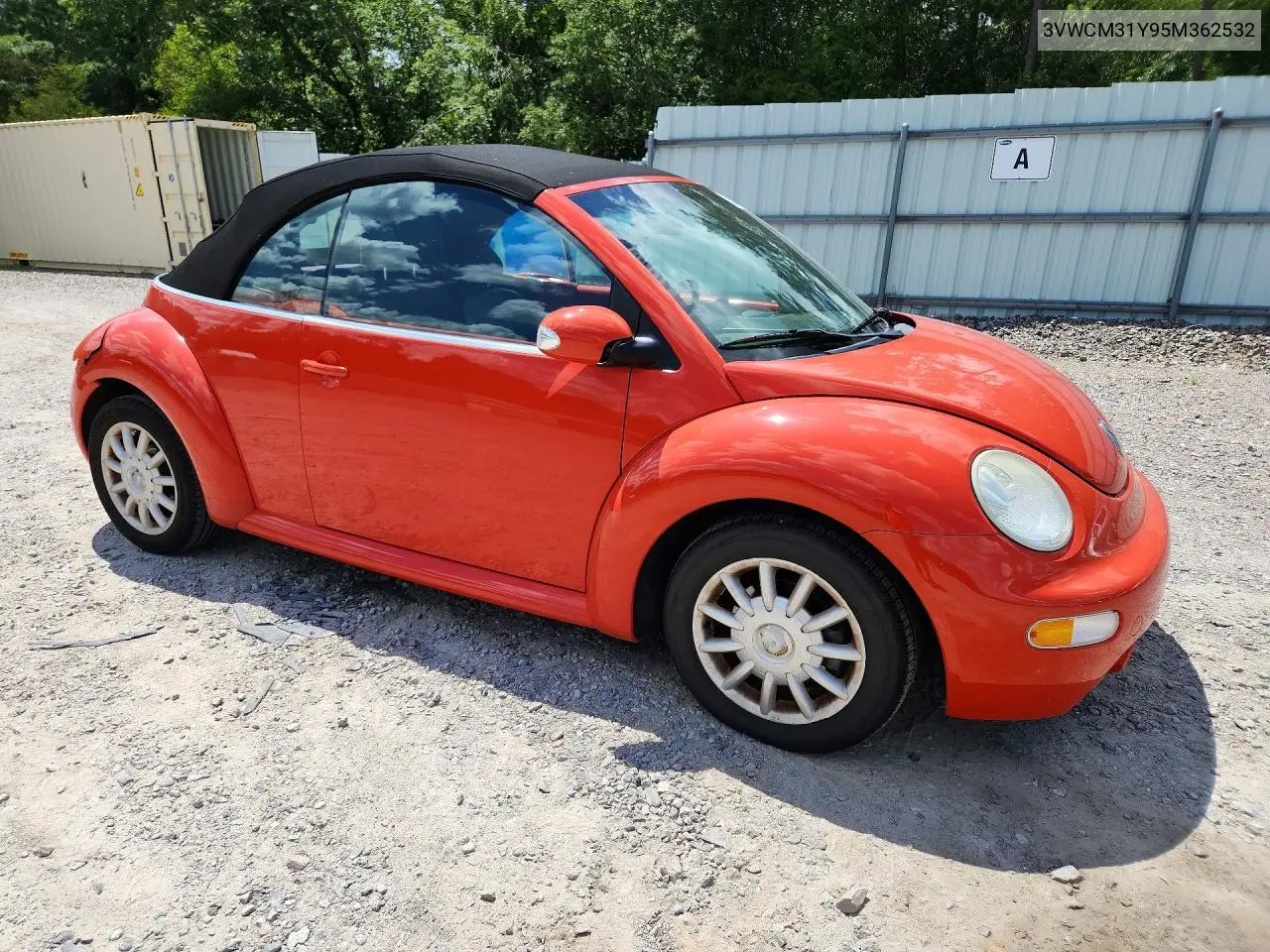 2005 Volkswagen New Beetle Gls VIN: 3VWCM31Y95M362532 Lot: 57176656