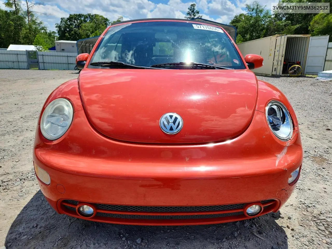 2005 Volkswagen New Beetle Gls VIN: 3VWCM31Y95M362532 Lot: 57176656