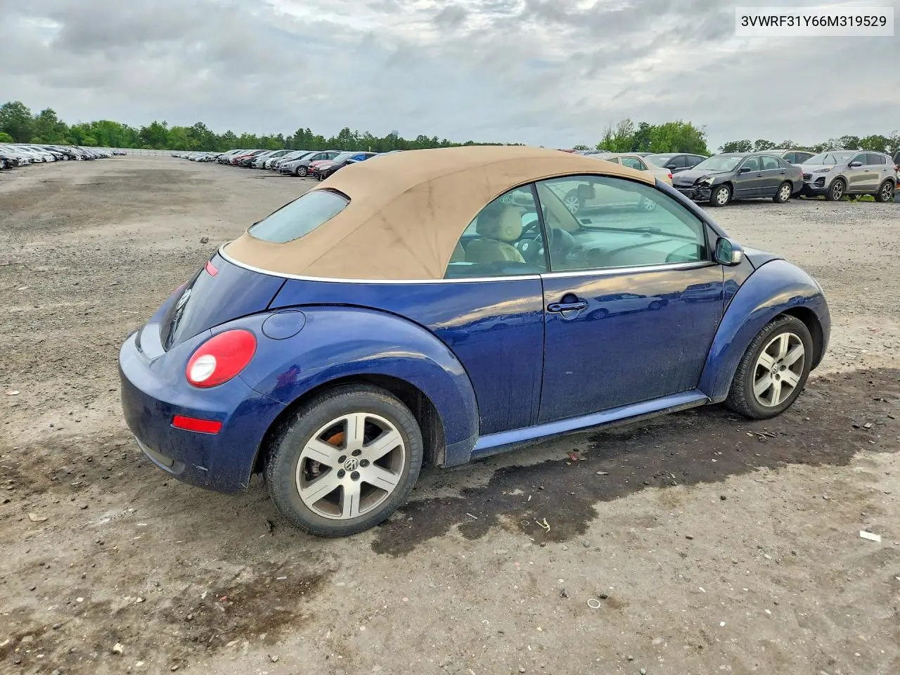 2006 Volkswagen New Beetle Convertible Option Package 1 VIN: 3VWRF31Y66M319529 Lot: 62169796