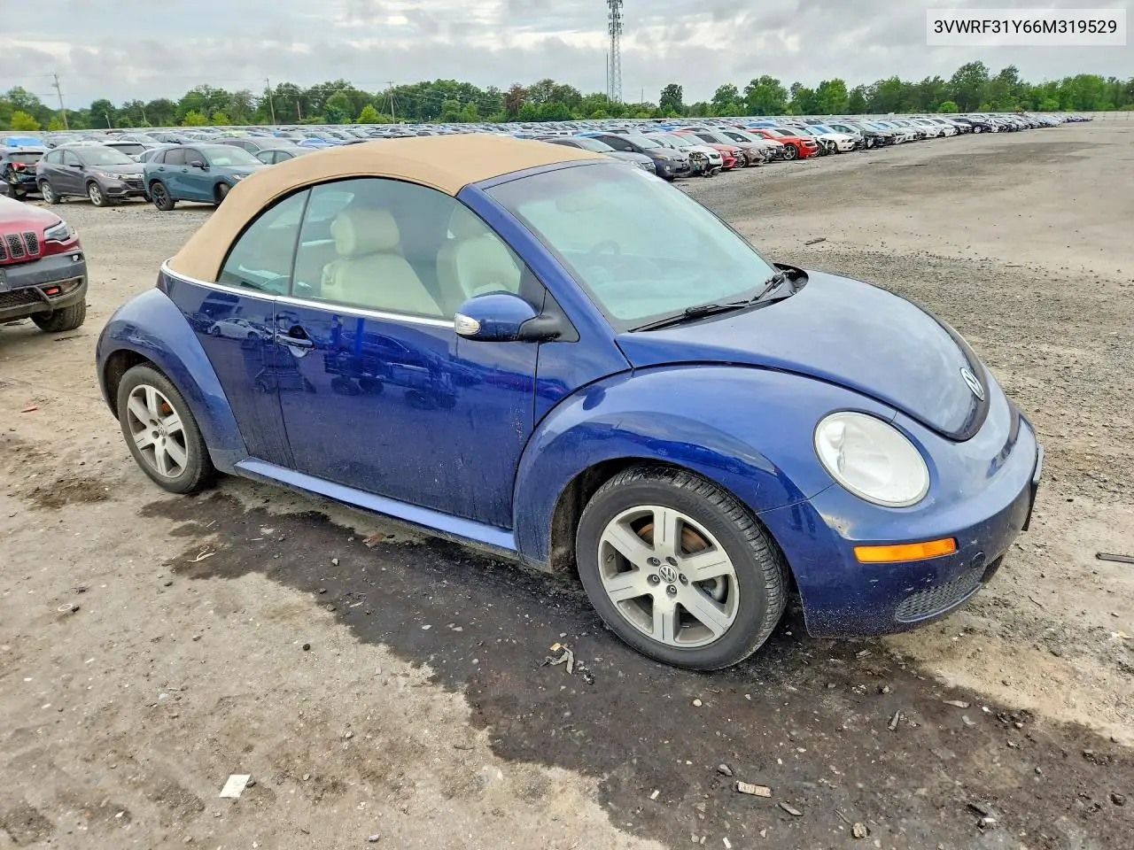 2006 Volkswagen New Beetle Convertible Option Package 1 VIN: 3VWRF31Y66M319529 Lot: 62169796