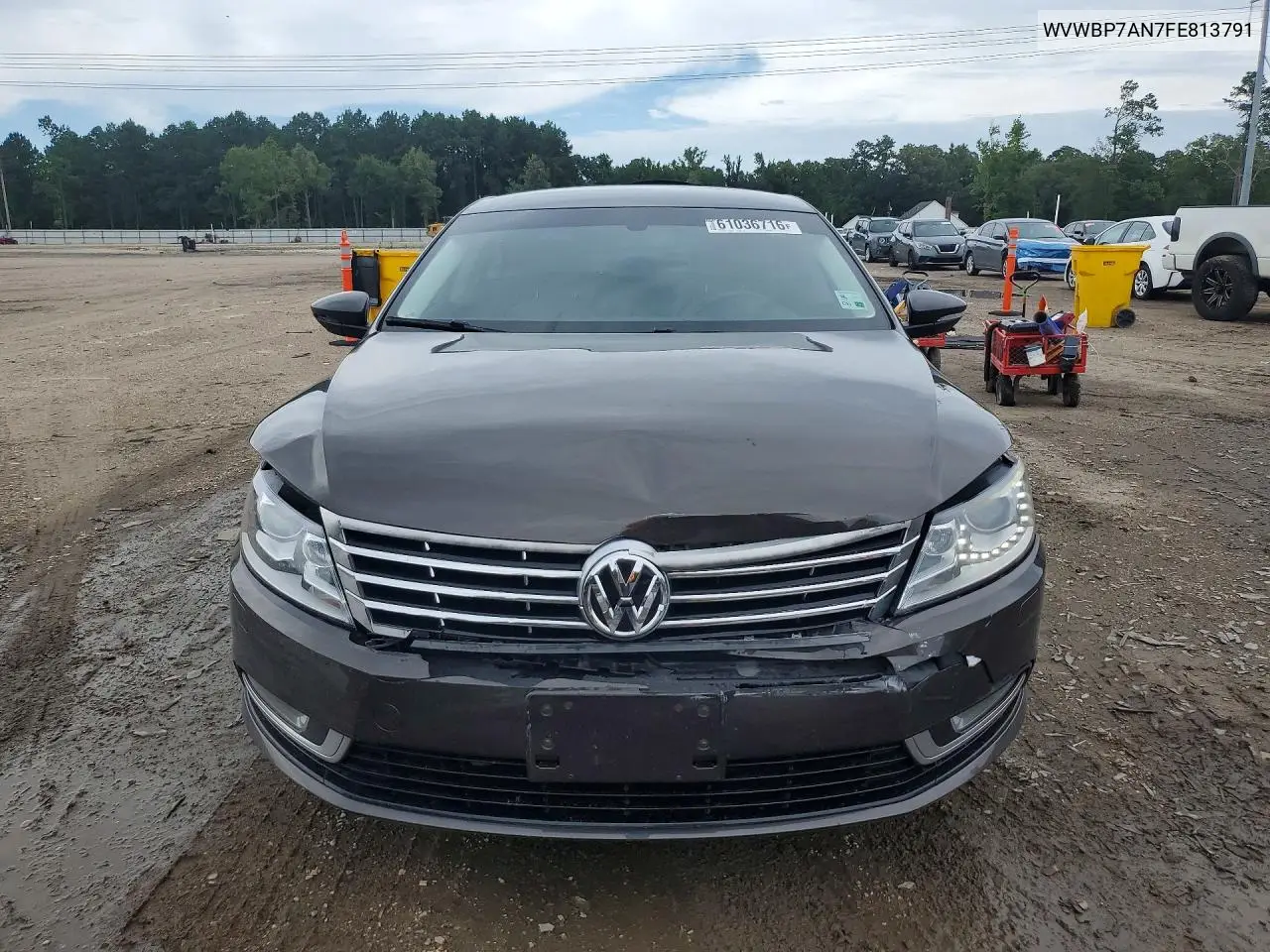 2015 Volkswagen Cc Sport VIN: WVWBP7AN7FE813791 Lot: 61036716