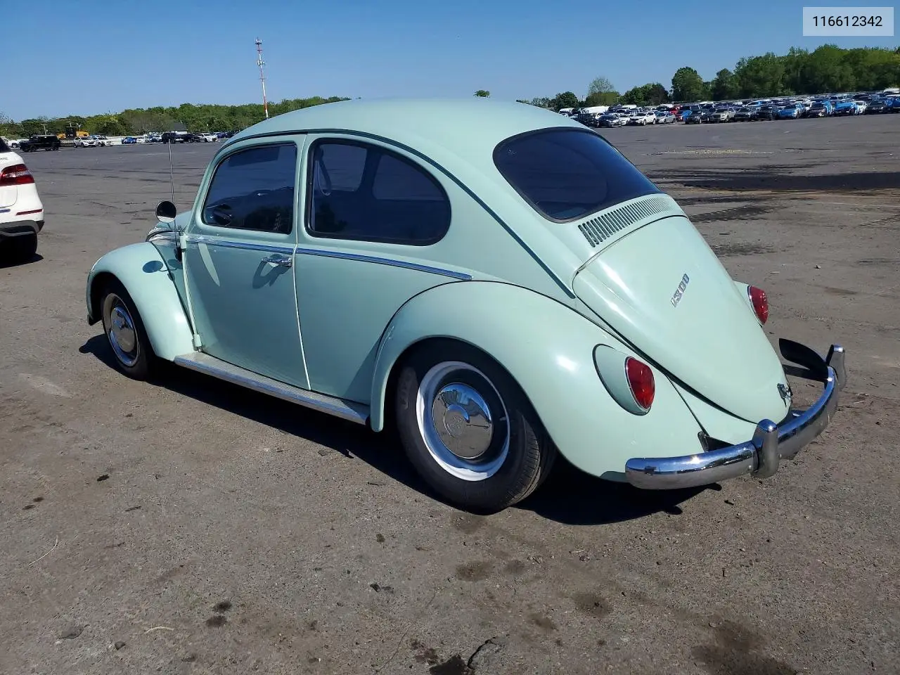1966 Volkswagen Beetle VIN: 116612342 Lot: 52027096