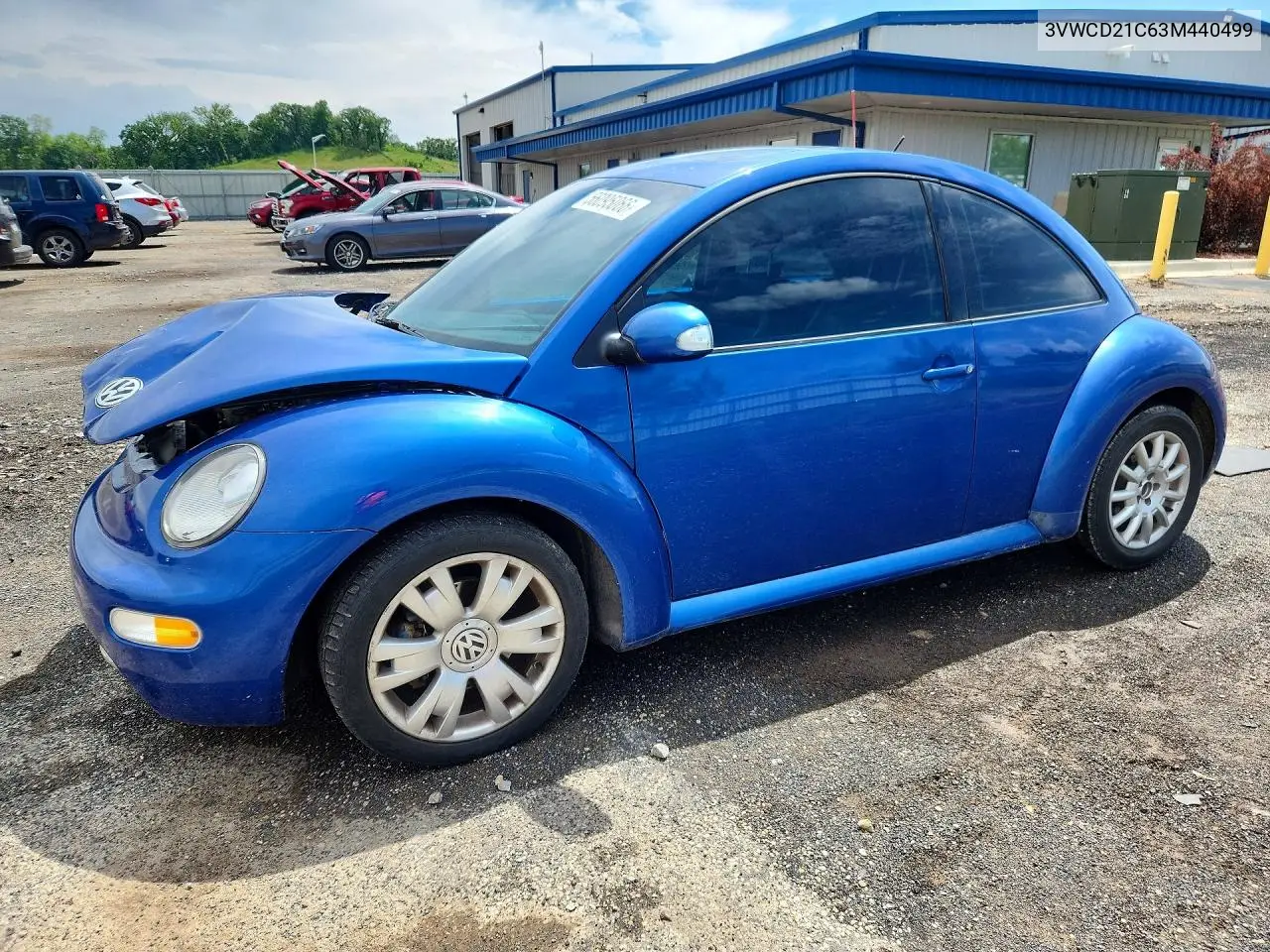 2003 Volkswagen New Beetle Gls VIN: 3VWCD21C63M440499 Lot: 56095066