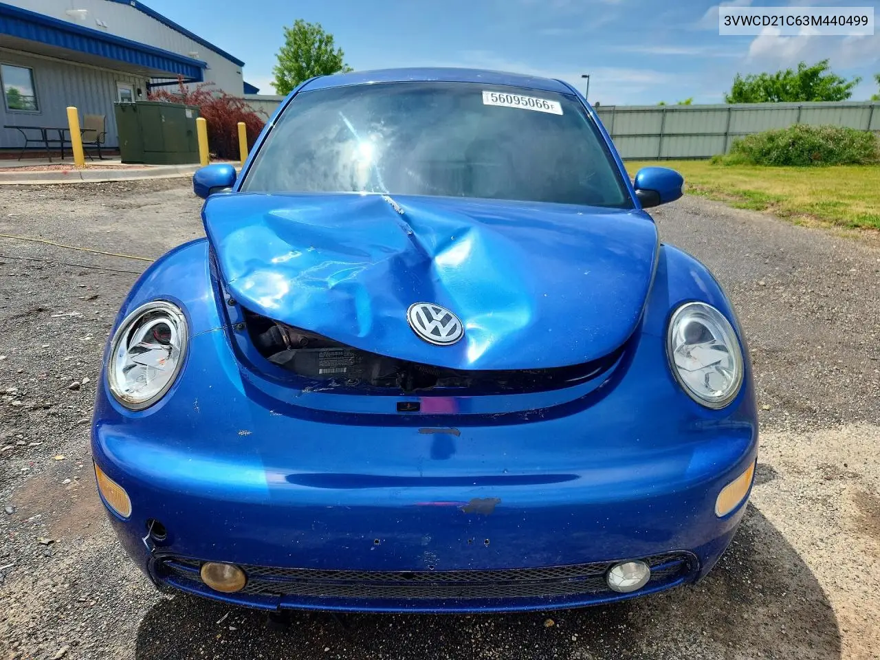 2003 Volkswagen New Beetle Gls VIN: 3VWCD21C63M440499 Lot: 56095066