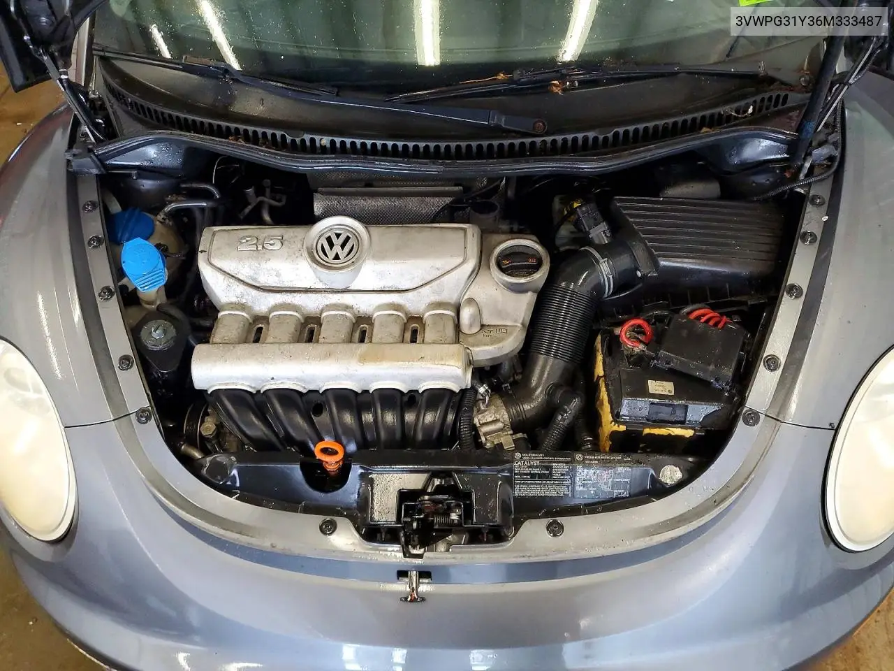2006 Volkswagen New Beetle Convertible VIN: 3VWPG31Y36M333487 Lot: 58050396