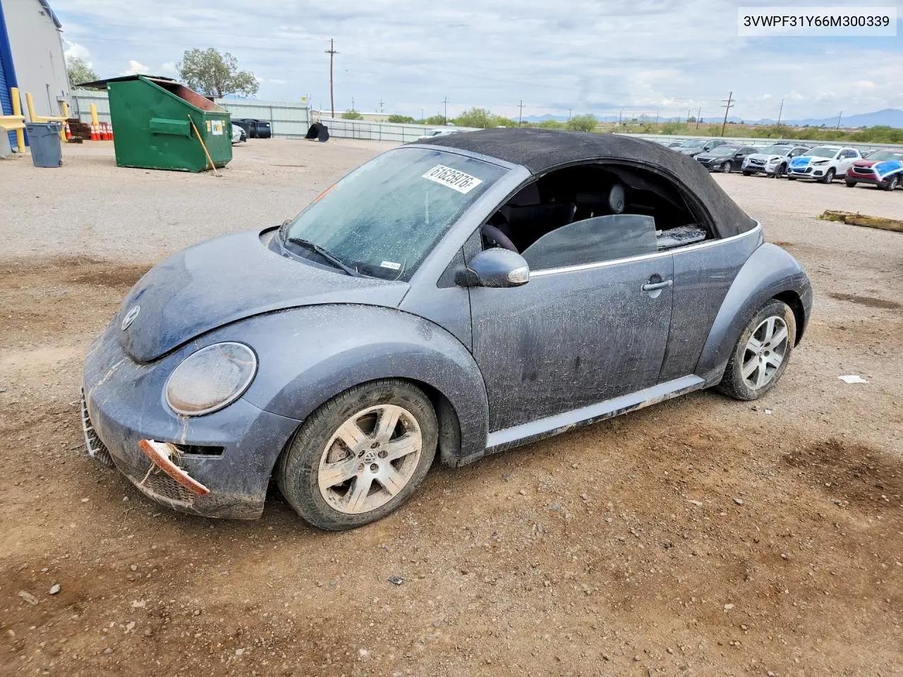 2006 Volkswagen New Beetle Convertible VIN: 3VWPF31Y66M300339 Lot: 61625976