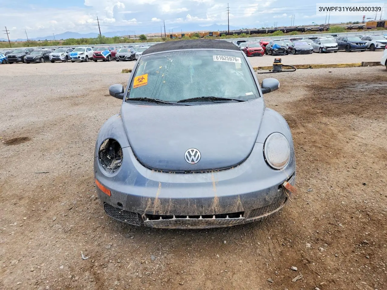 2006 Volkswagen New Beetle Convertible VIN: 3VWPF31Y66M300339 Lot: 61625976