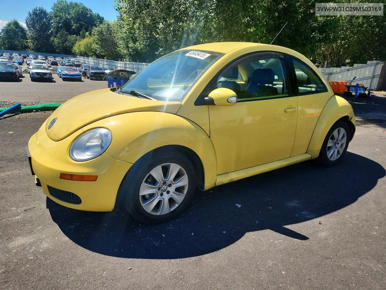 2009 Volkswagen New Beetle S VIN: 3VWPW31C29M503169 Lot: 85449415