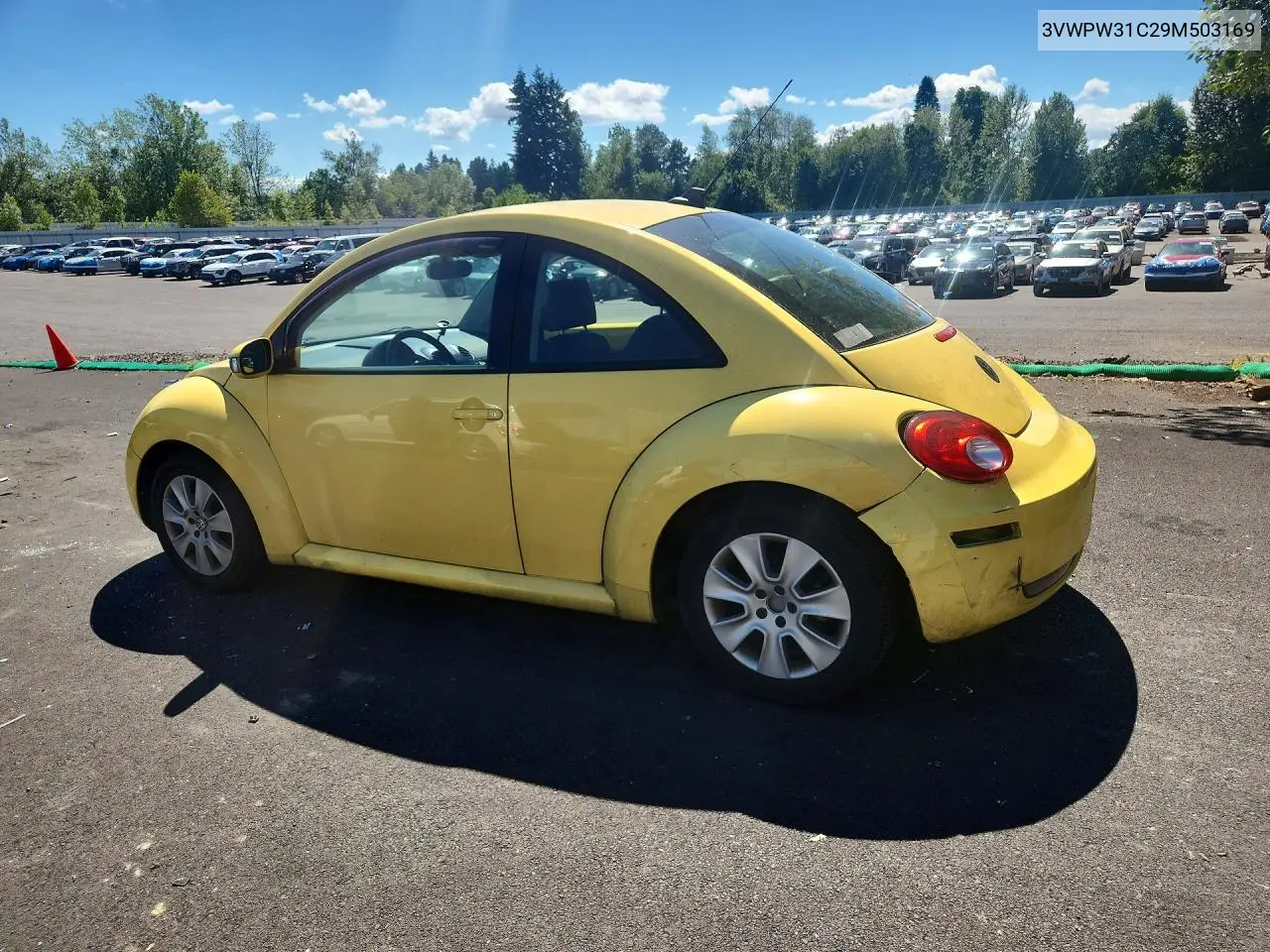 2009 Volkswagen New Beetle S VIN: 3VWPW31C29M503169 Lot: 85449415