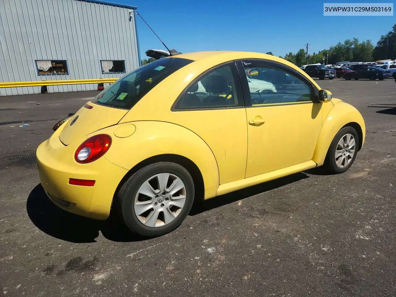 2009 Volkswagen New Beetle S VIN: 3VWPW31C29M503169 Lot: 85449415