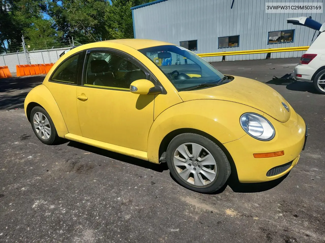 2009 Volkswagen New Beetle S VIN: 3VWPW31C29M503169 Lot: 85449415