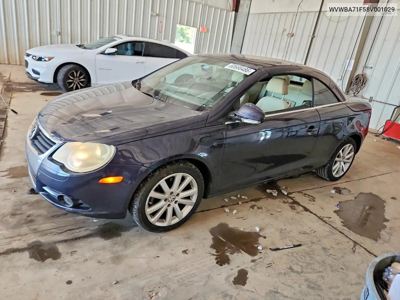 2008 Volkswagen Eos Turbo/Komfort VIN: WVWBA71F58V001029 Lot: 60666486