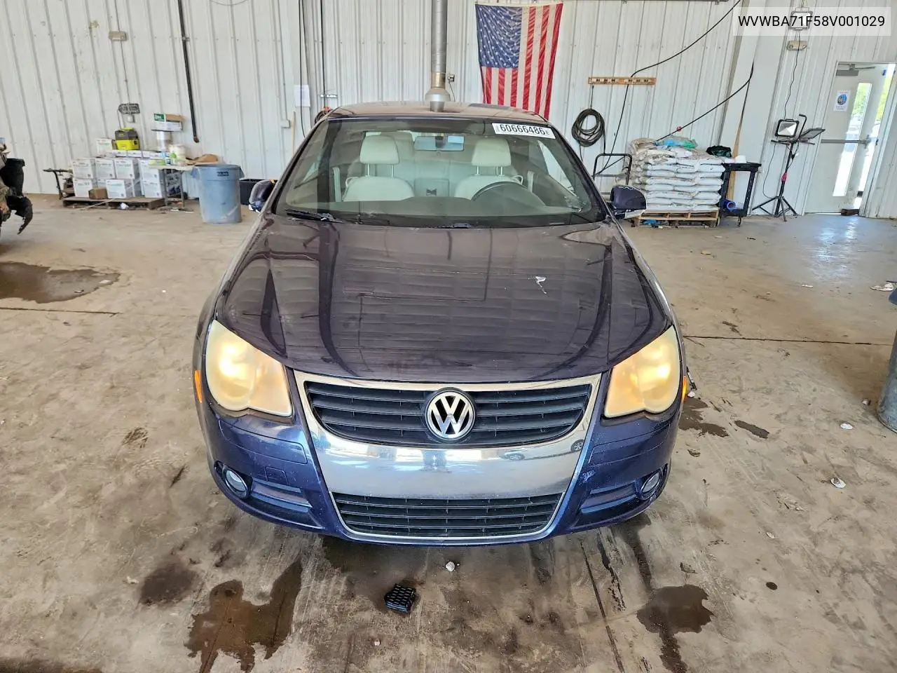 2008 Volkswagen Eos Turbo/Komfort VIN: WVWBA71F58V001029 Lot: 60666486