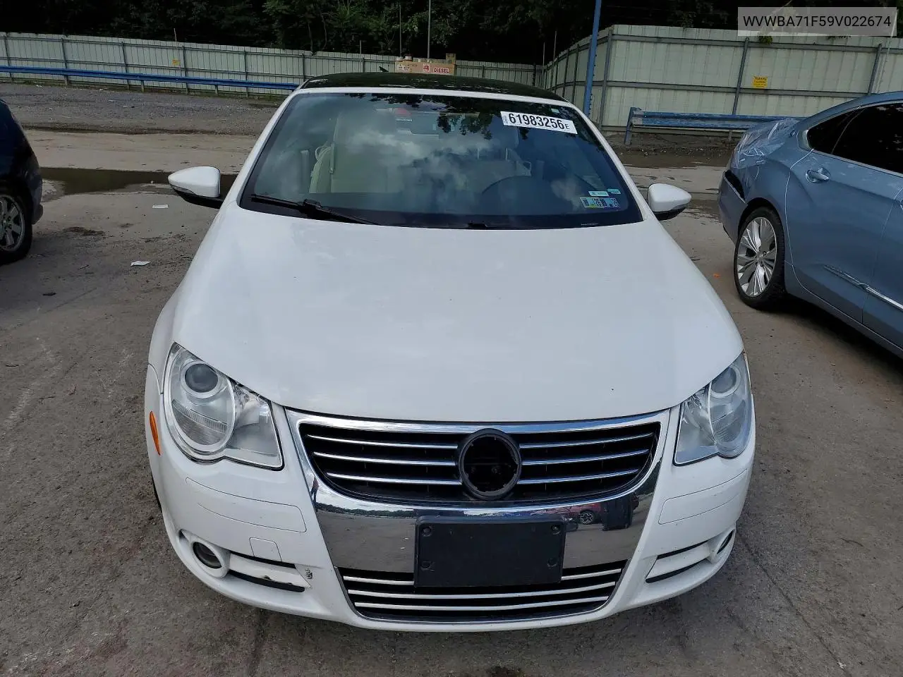 2009 Volkswagen Eos Turbo VIN: WVWBA71F59V022674 Lot: 61983256