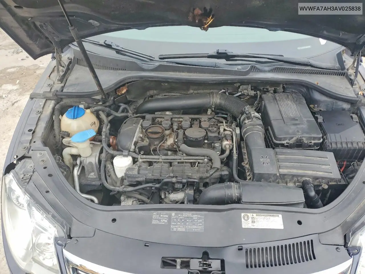 2010 Volkswagen Eos Lux VIN: WVWFA7AH3AV025838 Lot: 78064165