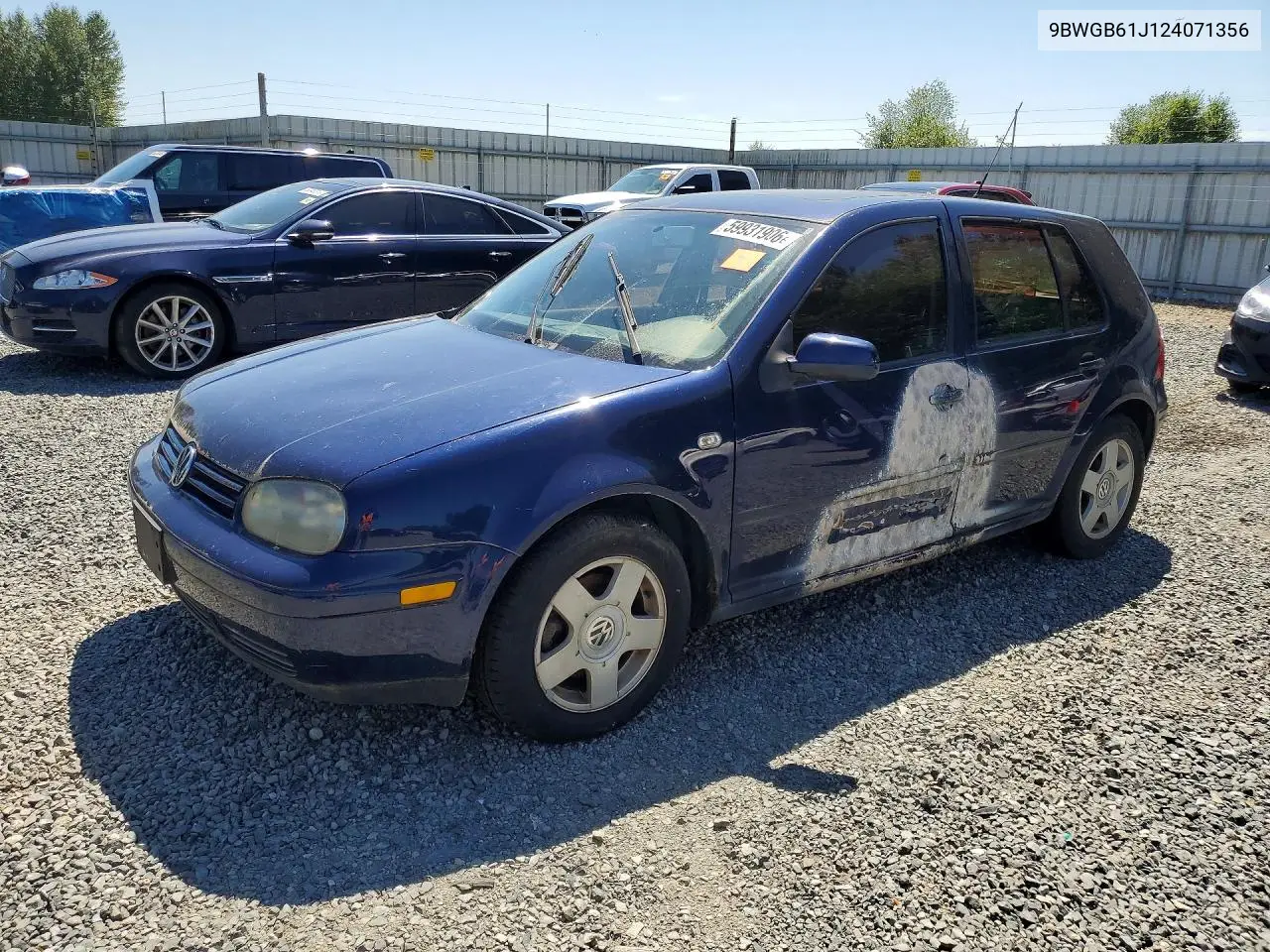 2002 Volkswagen Golf Gls VIN: 9BWGB61J124071356 Lot: 59931906
