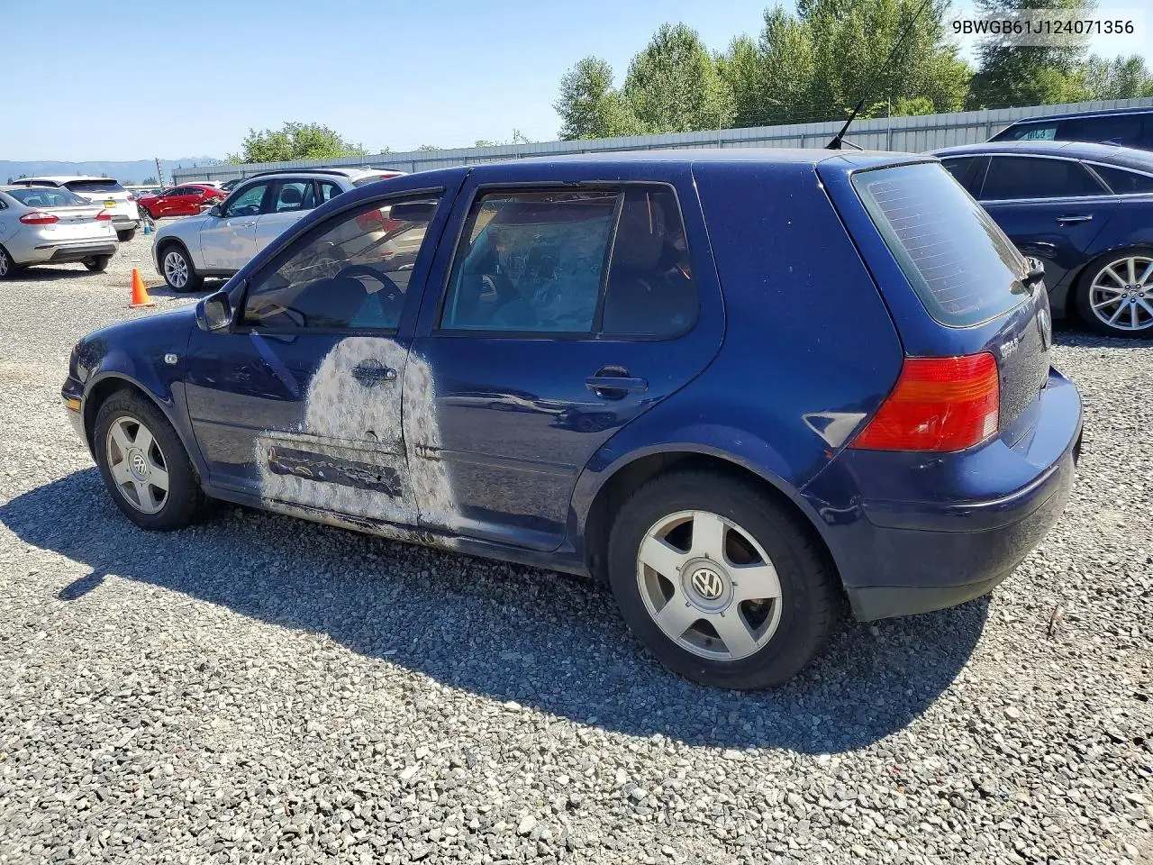 2002 Volkswagen Golf Gls VIN: 9BWGB61J124071356 Lot: 59931906