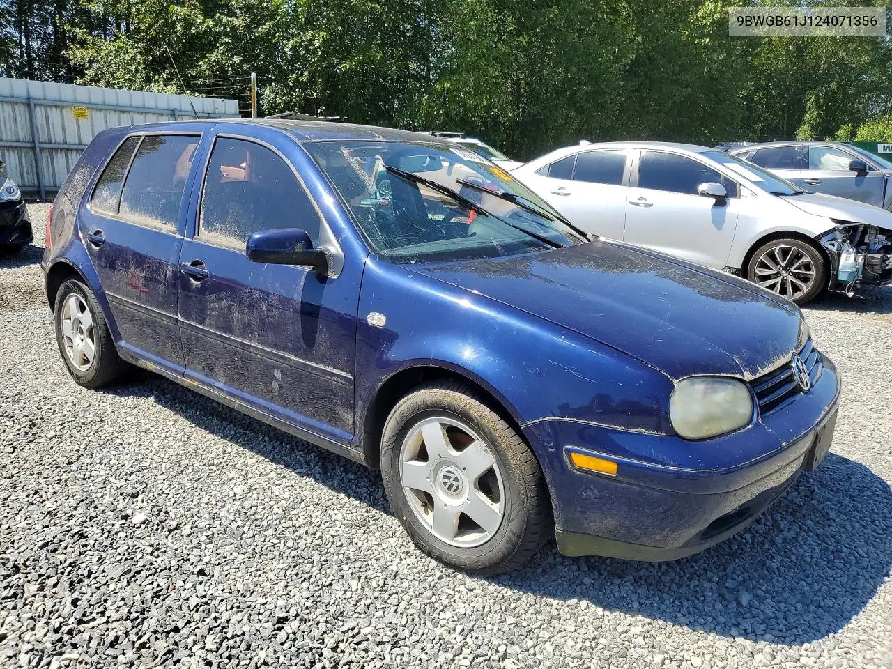 2002 Volkswagen Golf Gls VIN: 9BWGB61J124071356 Lot: 59931906