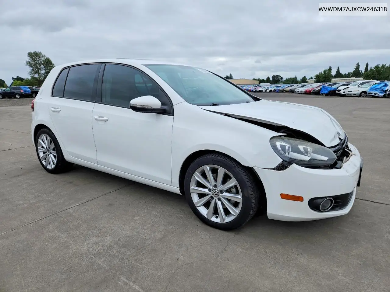 2012 Volkswagen Golf VIN: WVWDM7AJXCW246318 Lot: 85995235