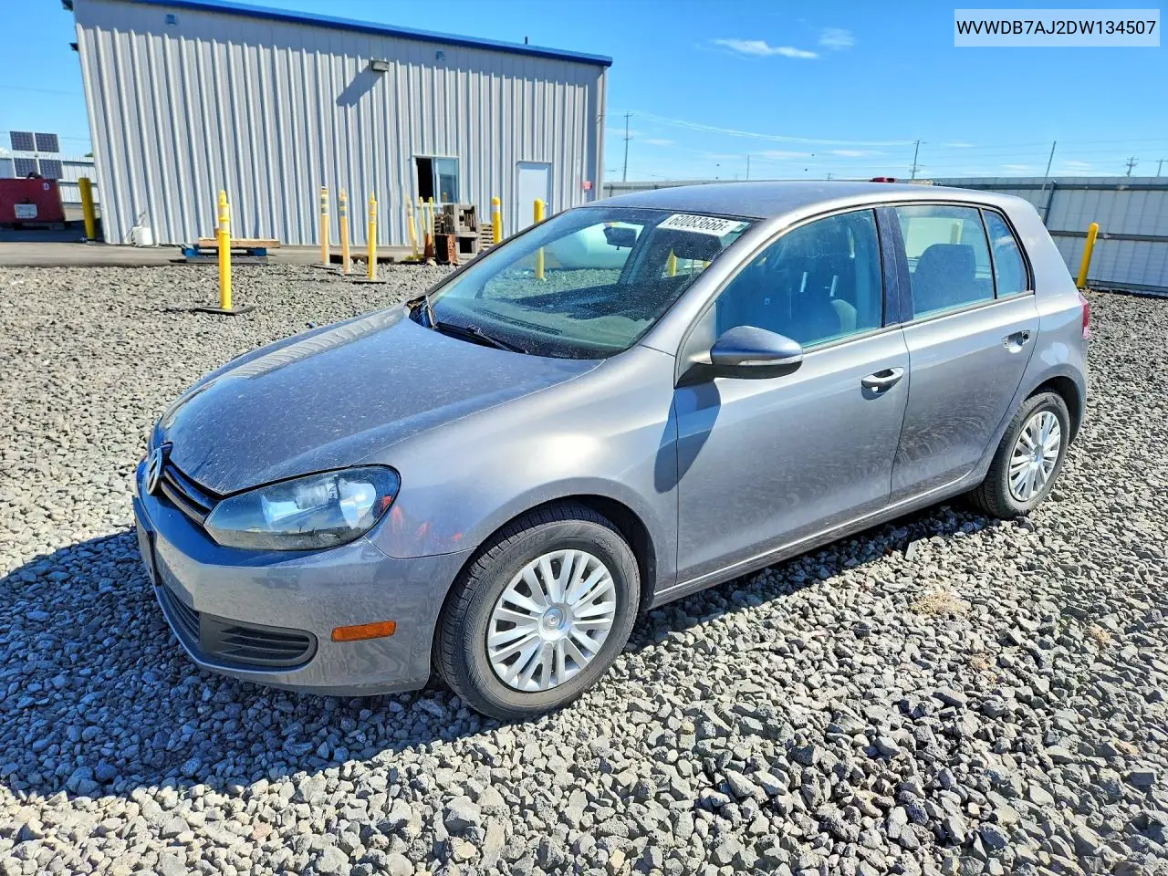 2013 Volkswagen Golf VIN: WVWDB7AJ2DW134507 Lot: 60083666