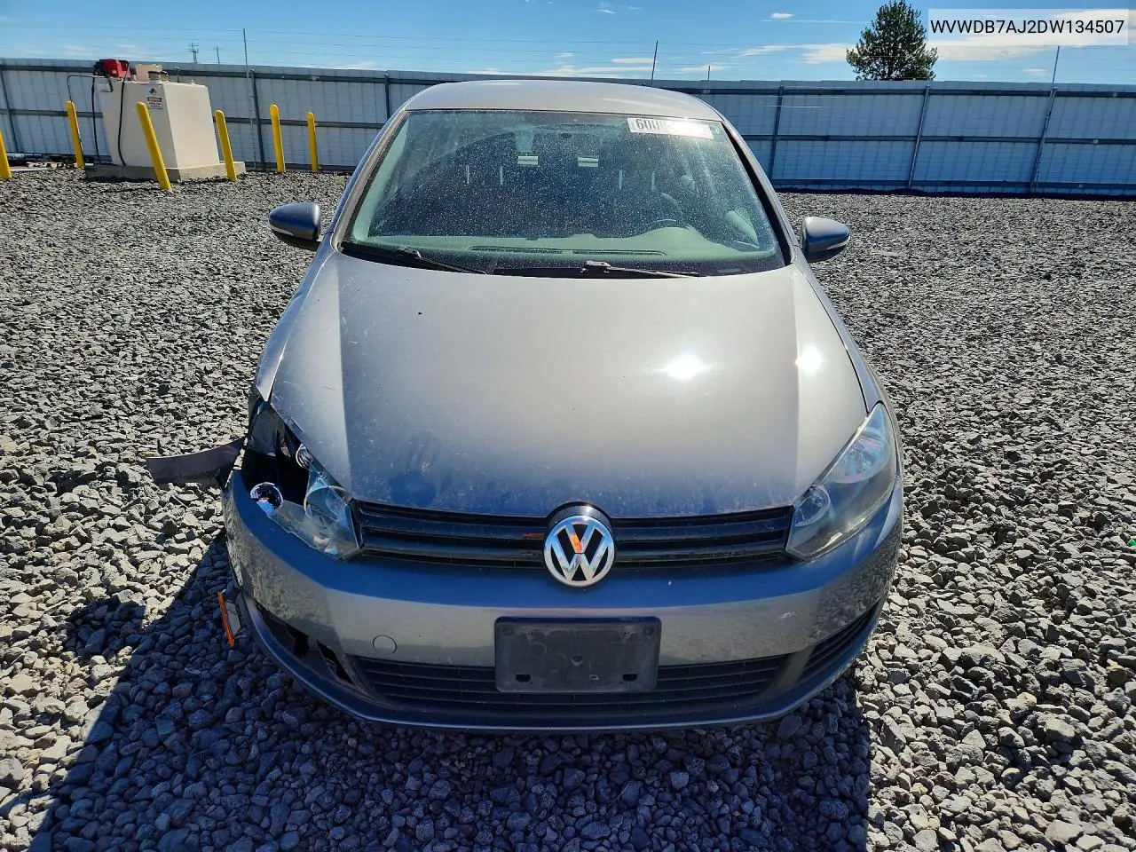 2013 Volkswagen Golf VIN: WVWDB7AJ2DW134507 Lot: 60083666