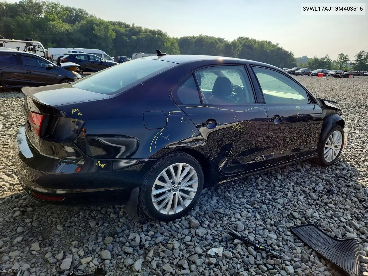 2016 Volkswagen Jetta Sel VIN: 3VWL17AJ1GM403516 Lot: 61796166