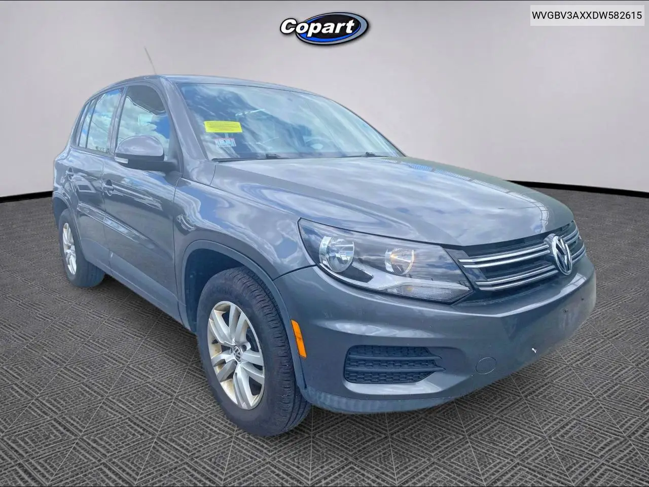 2013 Volkswagen Tiguan S