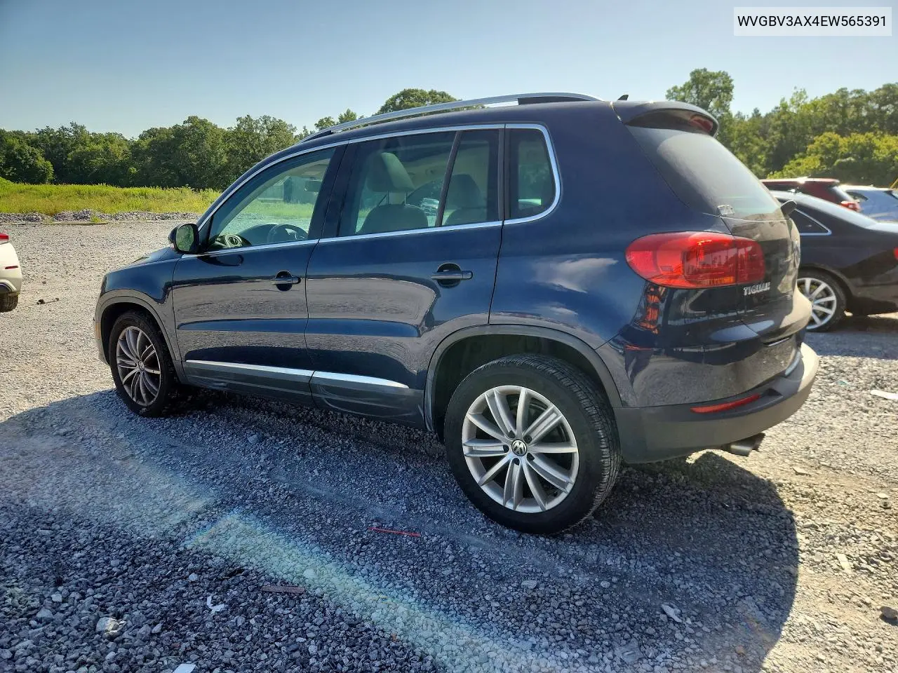 2014 Volkswagen Tiguan S VIN: WVGBV3AX4EW565391 Lot: 60854416