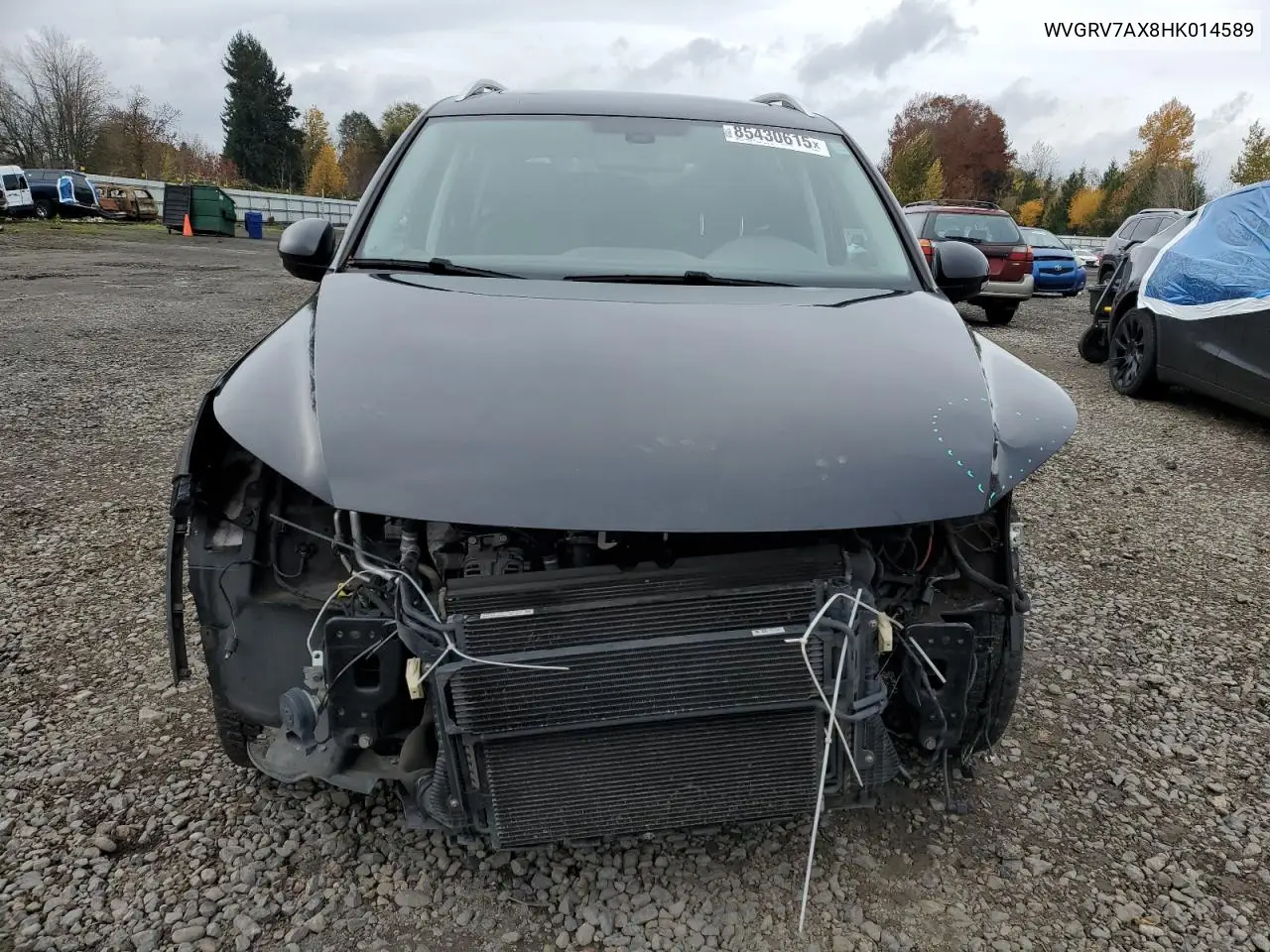 WVGRV7AX8HK014589 2017 Volkswagen Tiguan Wolfsburg