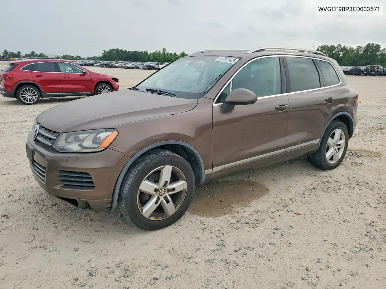 2014 Volkswagen Touareg V6 VIN: WVGEF9BP3ED003571 Lot: 51461586