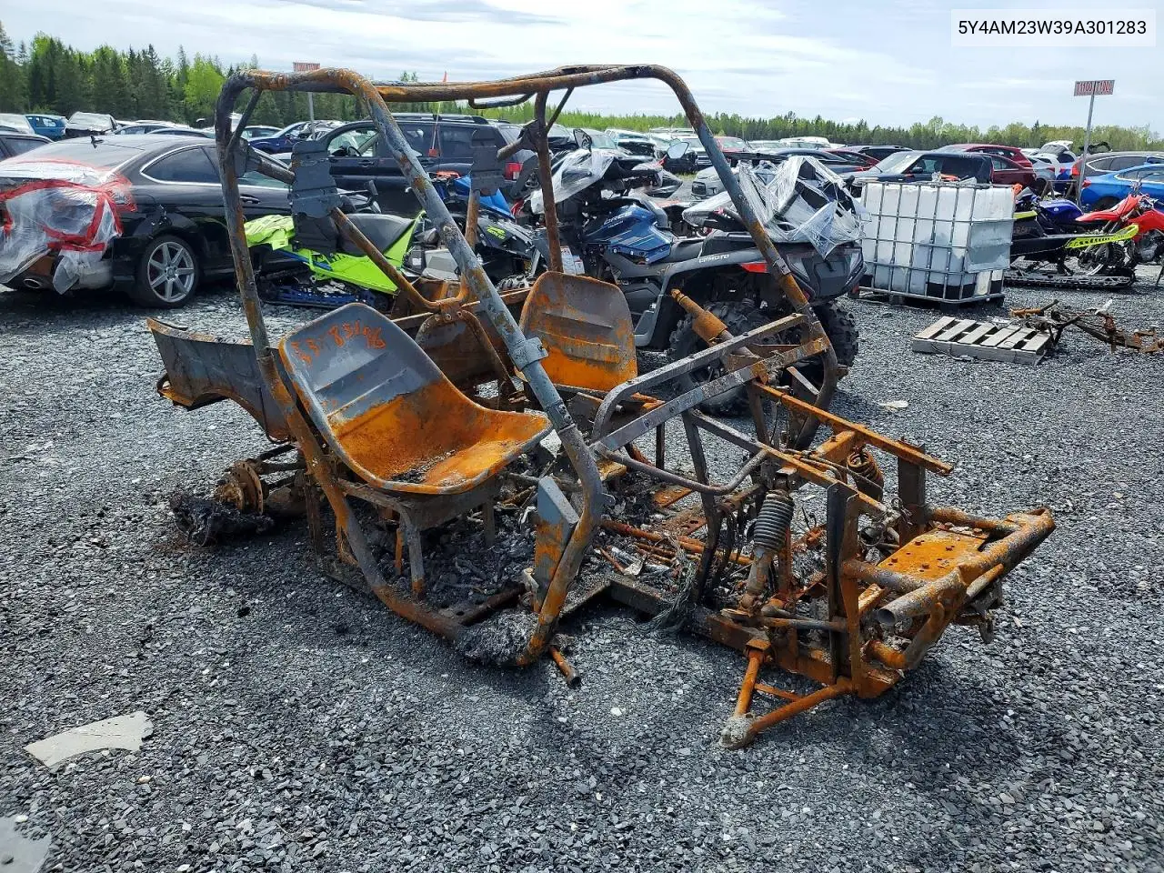 2009 Yamaha Yxr700 F VIN: 5Y4AM23W39A301283 Lot: 53885176
