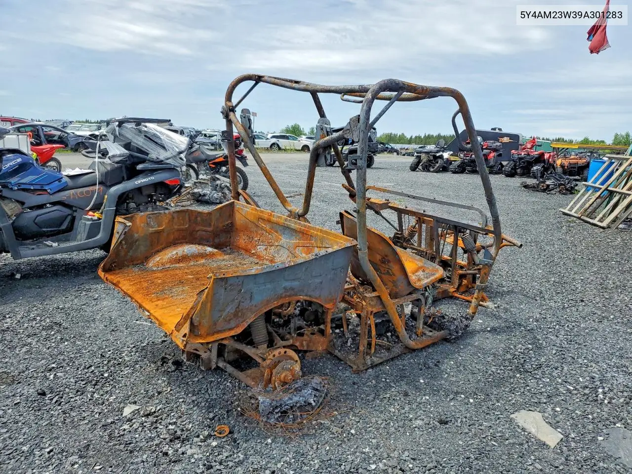 2009 Yamaha Yxr700 F VIN: 5Y4AM23W39A301283 Lot: 53885176