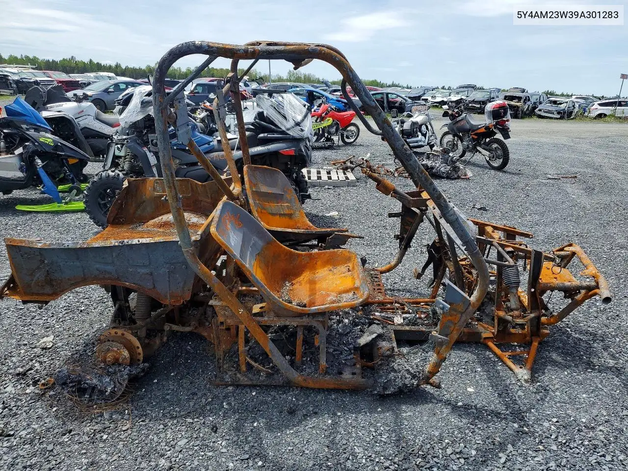 2009 Yamaha Yxr700 F VIN: 5Y4AM23W39A301283 Lot: 53885176