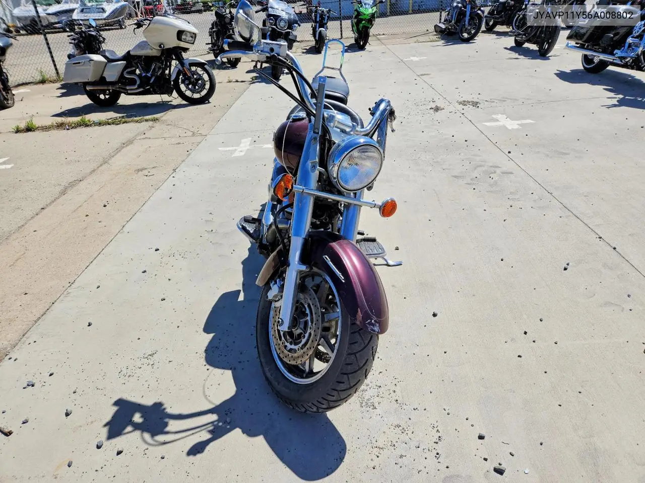 2006 Yamaha Xvs1100 A VIN: JYAVP11Y56A008802 Lot: 49989806