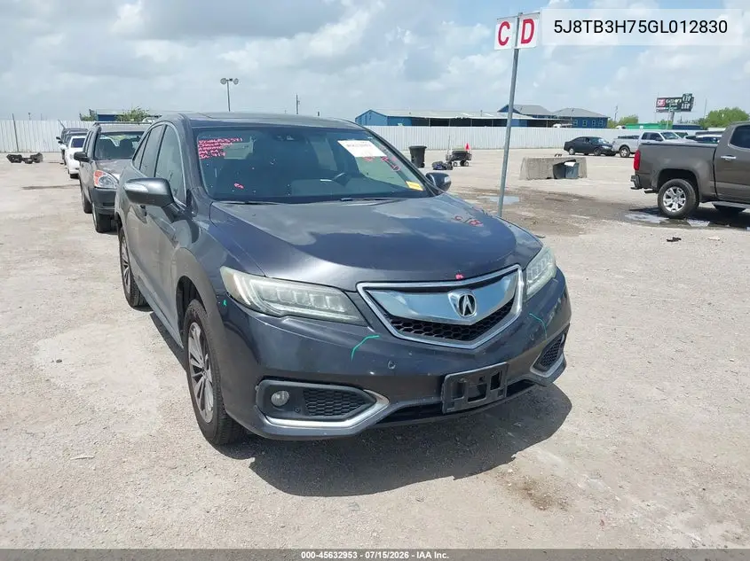 2016 Acura Rdx Advance Package VIN: 5J8TB3H75GL012830 Lot: 45632953