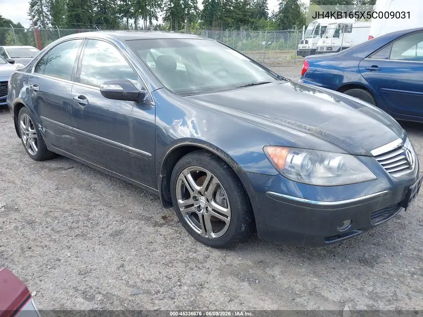2005 Acura Rl 3.5 VIN: JH4KB165X5C009031 Lot: 45336676