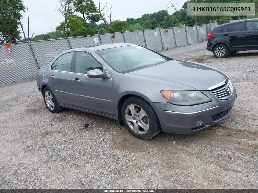 2005 Acura Rl 3.5 VIN: JH4KB16565C009981 Lot: 45434512