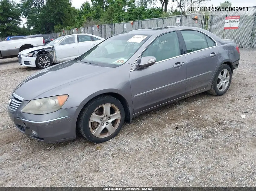 2005 Acura Rl 3.5 VIN: JH4KB16565C009981 Lot: 45434512