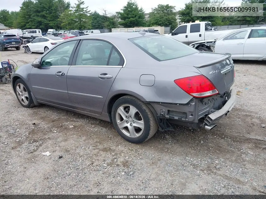 2005 Acura Rl 3.5 VIN: JH4KB16565C009981 Lot: 45434512