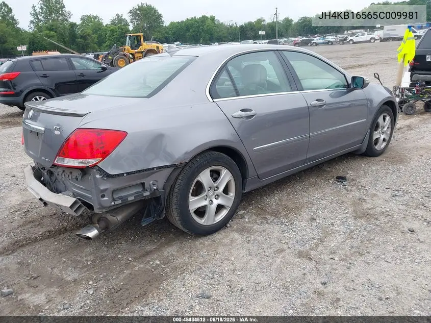 2005 Acura Rl 3.5 VIN: JH4KB16565C009981 Lot: 45434512