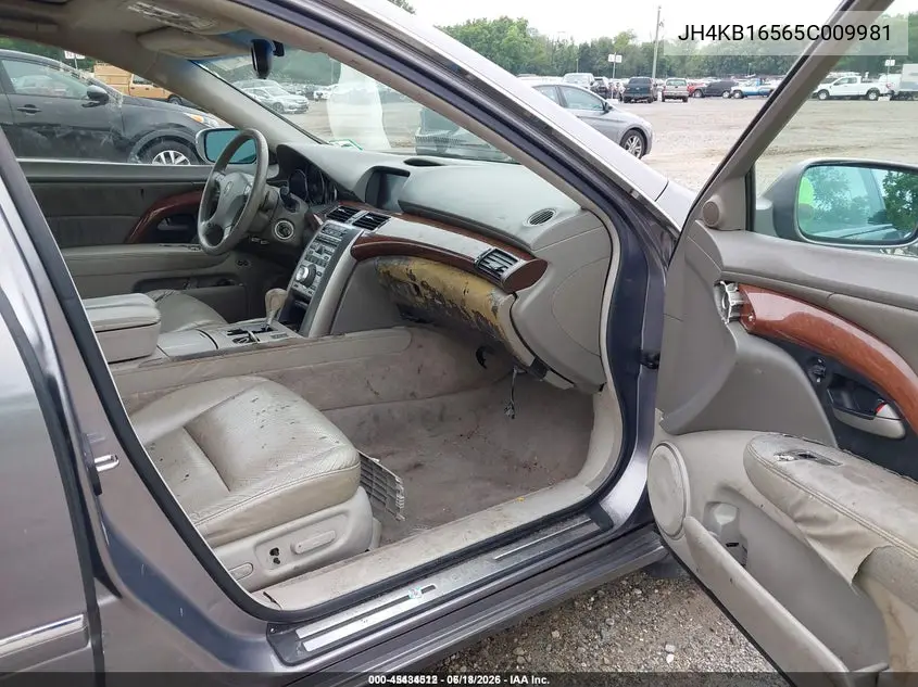 2005 Acura Rl 3.5 VIN: JH4KB16565C009981 Lot: 45434512