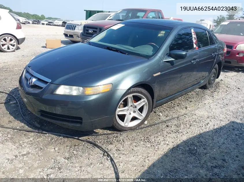 2004 Acura Tl VIN: 19UUA66254A023043 Lot: 45511120