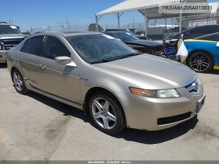 2005 Acura Tl VIN: 19UUA66205A013831 Lot: 45585629